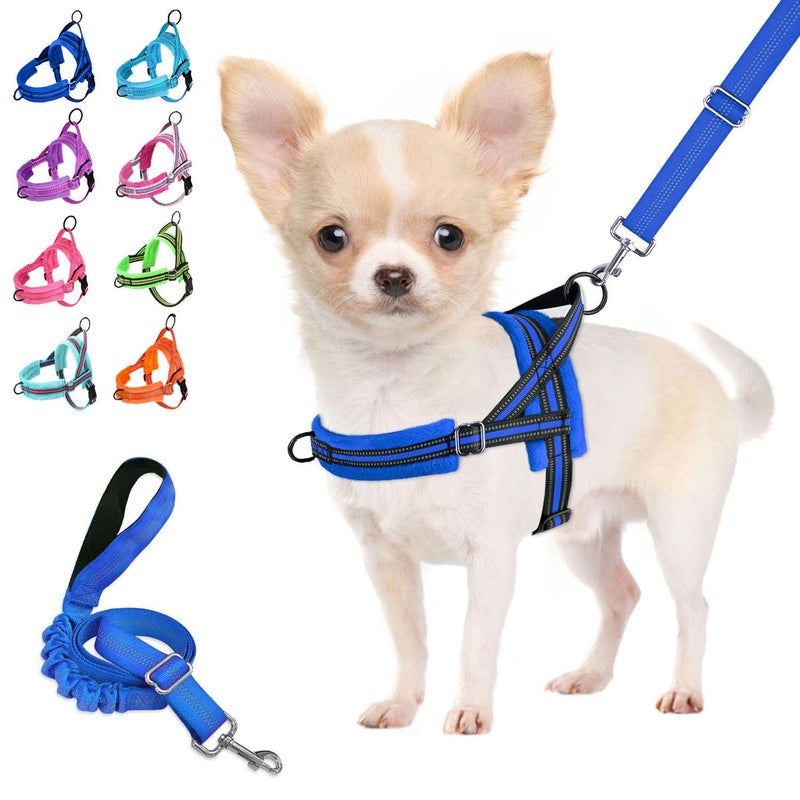 Lukovee No Pull Dog Harness and Leash Set, Soft Padded Small Dog Harness, Neck & Chest Adjustable Reflective Vest Puppy Harness with 4ft Lightweight Anti-Twist Dog Leash for Small Dogs (XS, Blue) - Image 1